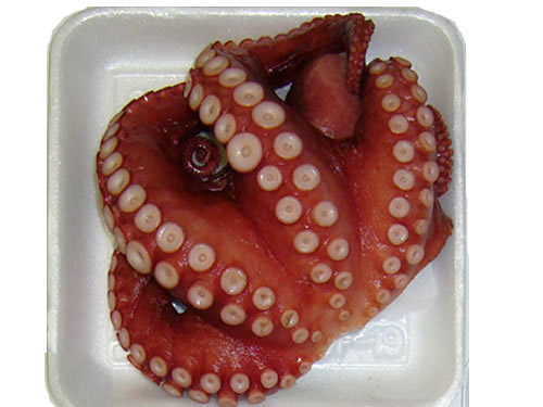 ボイル明石蛸 冷凍 約500g １尾 明石たこ 干物 通販 明石たこの齊木商店